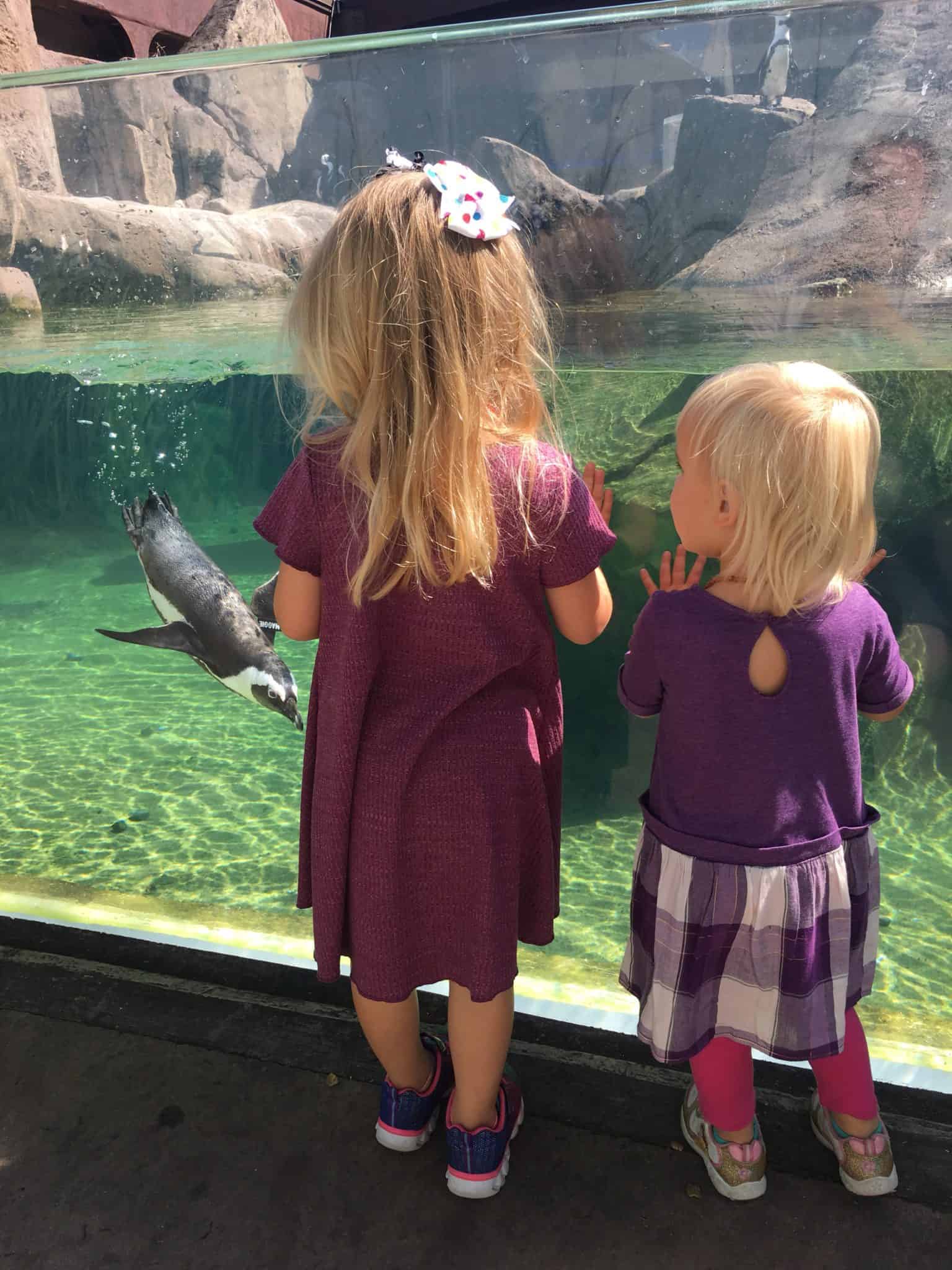 little girls looking at penguin in aquarium
