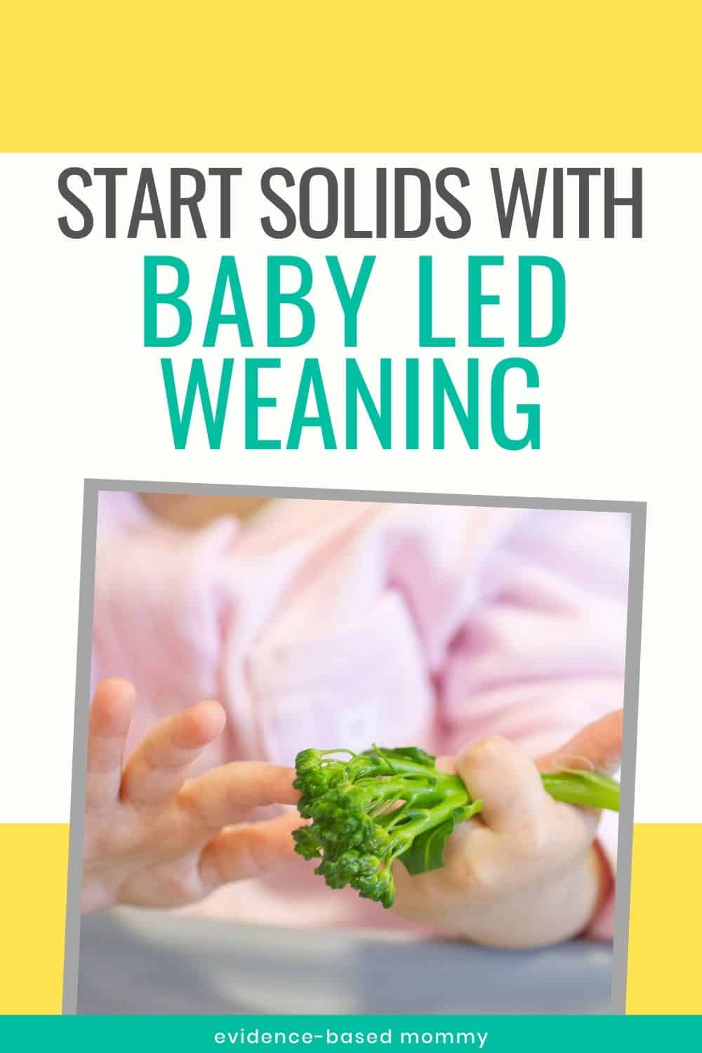 baby led weaning tips