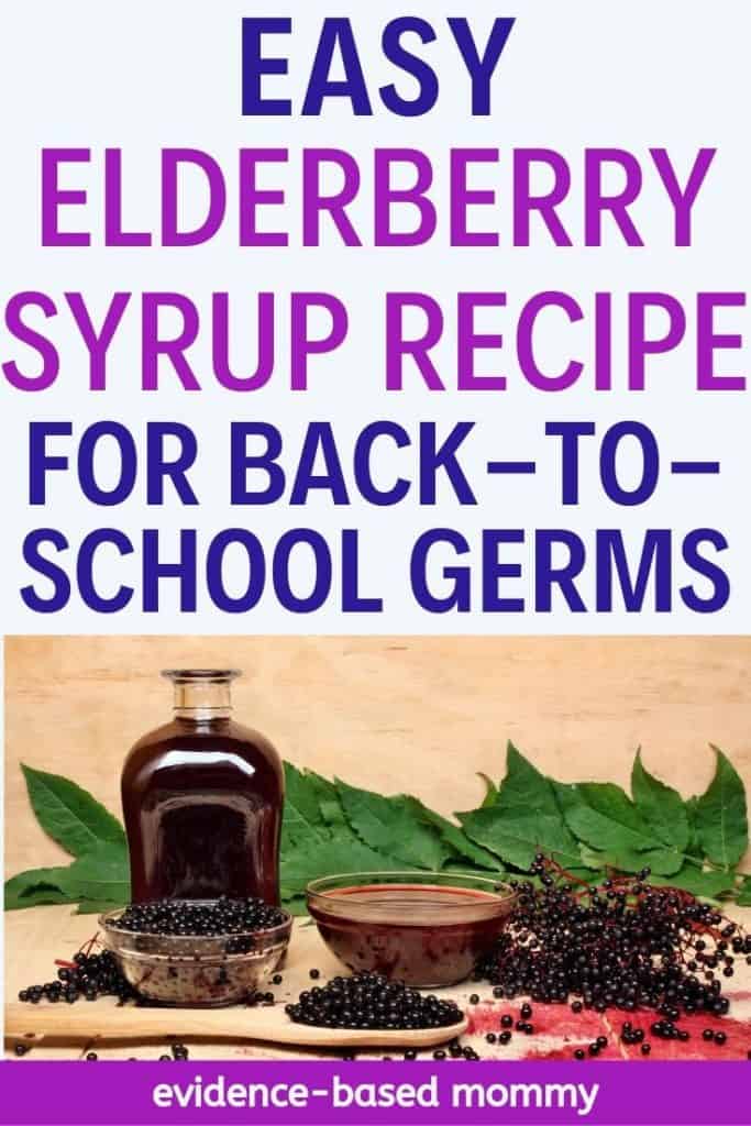 DIY elderberry syrup recipe Evidencebased mommy