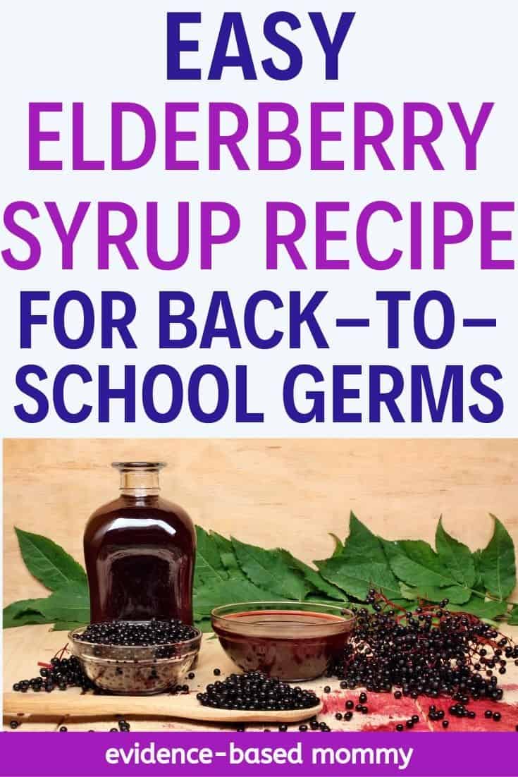elderberry syrup pin