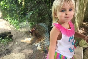 fierce little girl in front of tiger