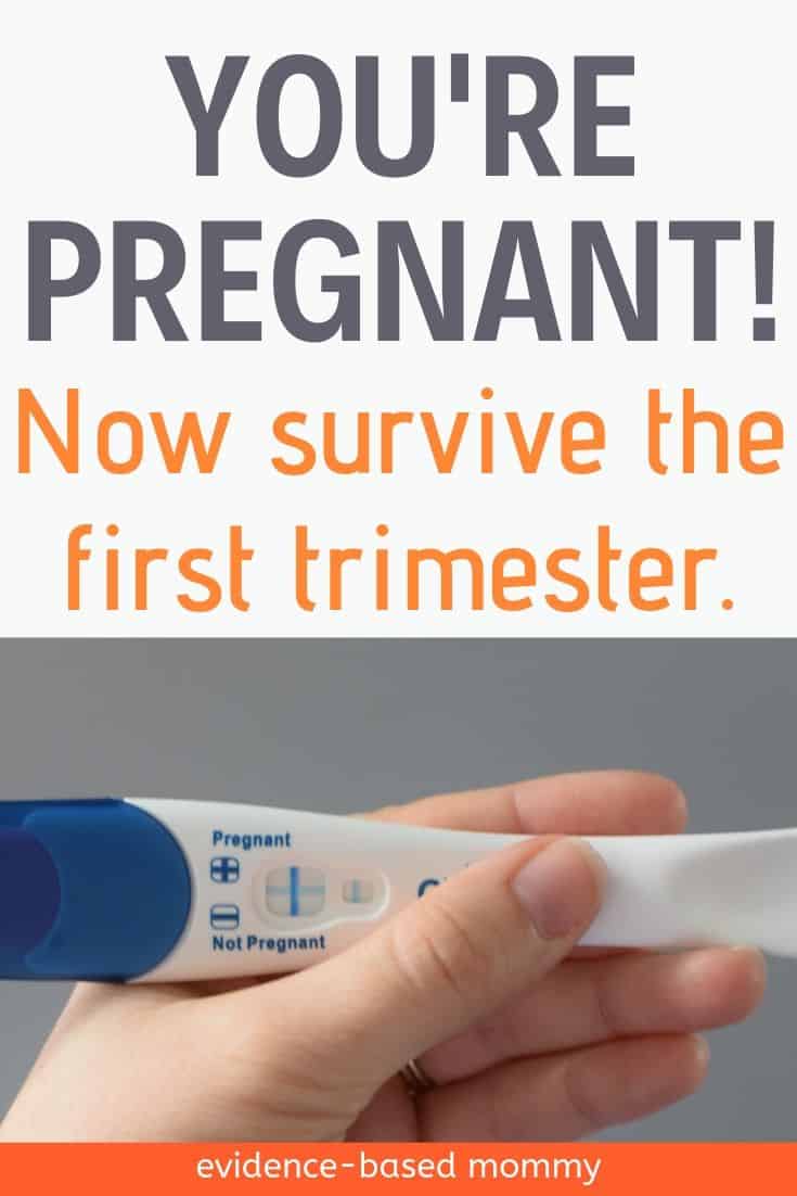 First trimester tips