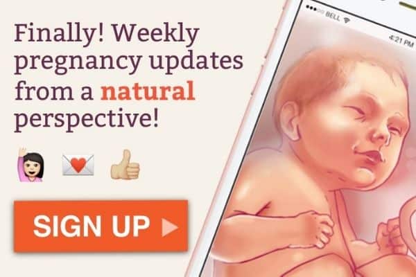 Click here for week by week pregnancy updates with a natural perspective