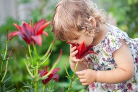 teaching mindfulness to toddlers - toddler sniffing a flower