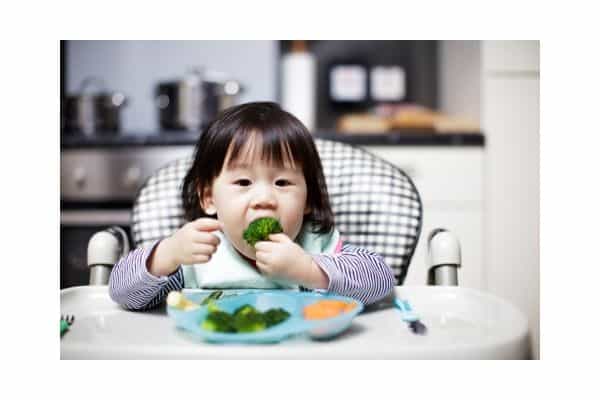 Toddler eating solids at high chair