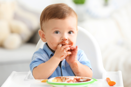 From Pureés to Finger Foods
