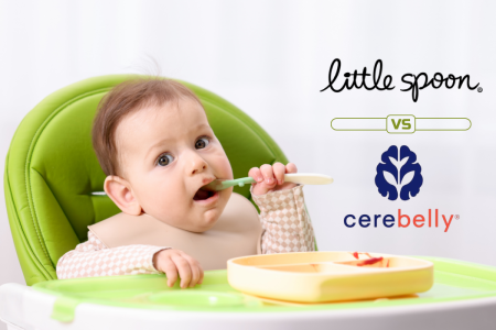 Little Spoon vs Cerebelly: Which Baby Food Is Right for Your Family?