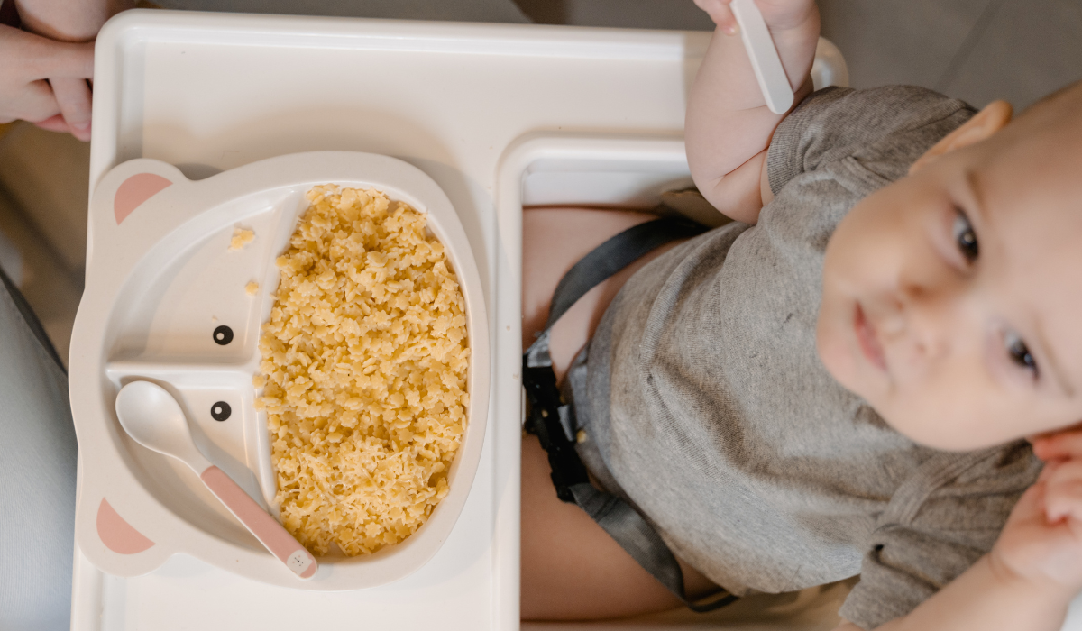 baby solids 