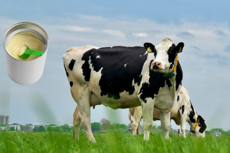 Grass-Fed Formula vs Conventional Formula