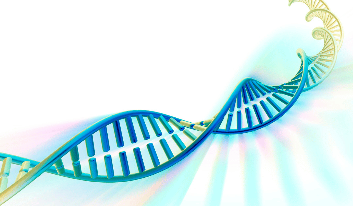 Nucleotides 