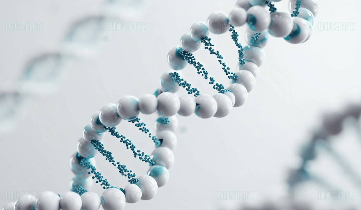 nucleotides in formula
