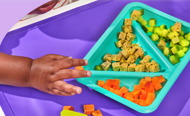 Best Toddler Food Subscription